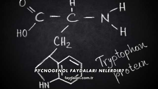 Pycnogenol Faydaları Nelerdir?