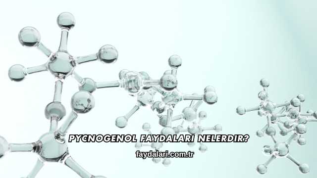 Pycnogenol Faydaları Nelerdir?