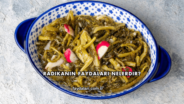 Radikanın Faydaları Nelerdir?
