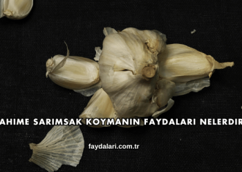 Rahime Sarımsak Koymanın Faydaları Nelerdir?