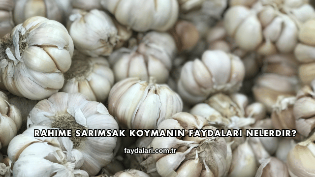Rahime Sarımsak Koymanın Faydaları Nelerdir?