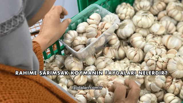 Rahime Sarımsak Koymanın Faydaları Nelerdir?