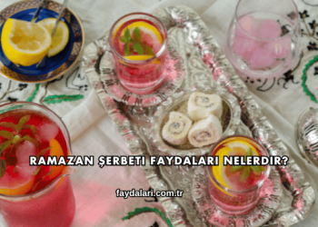 Ramazan Şerbeti Faydaları Nelerdir?