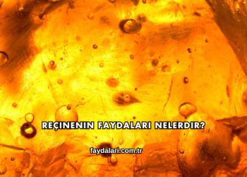 Reçinenin Faydaları Nelerdir?