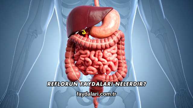 Reflorun Faydaları Nelerdir?