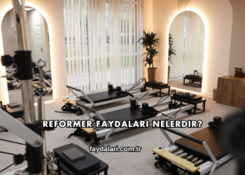 Reformer Faydaları Nelerdir?