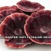 Reishi Mantarı Hapı Faydaları Nelerdir?