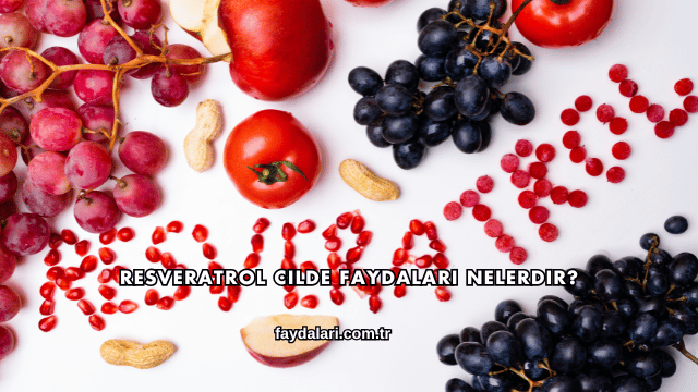 Resveratrol Cilde Faydaları Nelerdir?