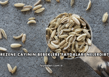 Rezene Çayının Bebeklere Faydaları Nelerdir?