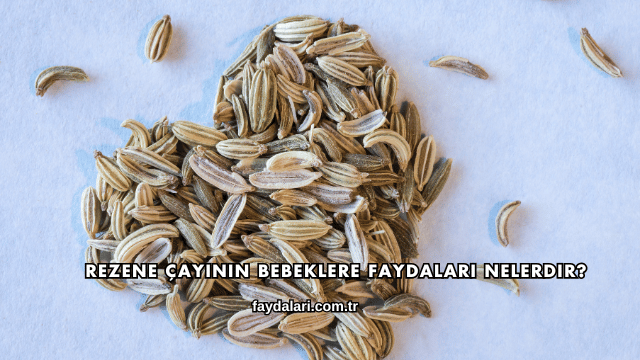 Rezene Çayının Bebeklere Faydaları Nelerdir?