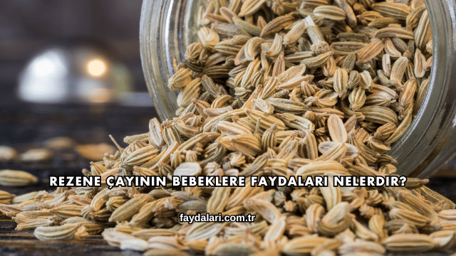 Rezene Çayının Bebeklere Faydaları Nelerdir?