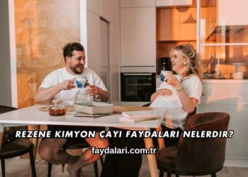 Rezene Kimyon Çayı Faydaları Nelerdir?