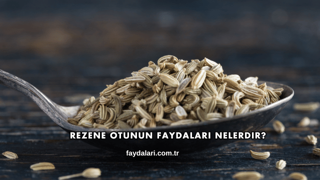 Rezene Otunun Faydaları Nelerdir?
