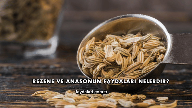 Rezene ve Anasonun Faydaları Nelerdir?