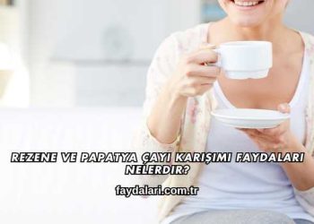 Rezene ve Papatya Çayı Karışımı Faydaları Nelerdir?