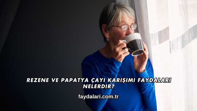 Rezene ve Papatya Çayı Karışımı Faydaları Nelerdir?