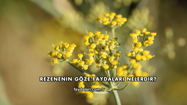 Rezenenin Göze Faydaları Nelerdir?