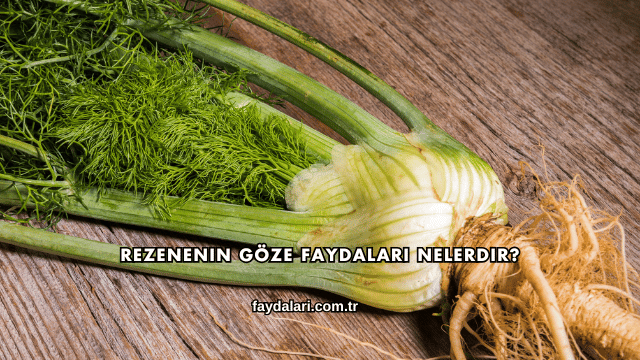 Rezenenin Göze Faydaları Nelerdir?