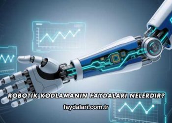 Robotik Kodlamanın Faydaları Nelerdir