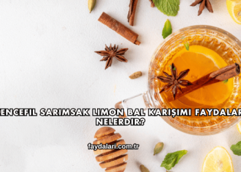 Zencefil Sarımsak Limon Bal Karışımı Faydaları Nelerdir?