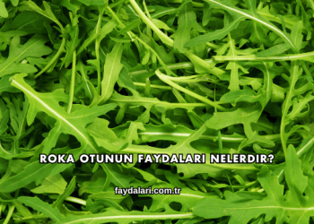 Roka Otunun Faydaları Nelerdir?