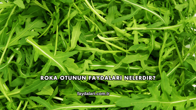 Roka Otunun Faydaları Nelerdir?