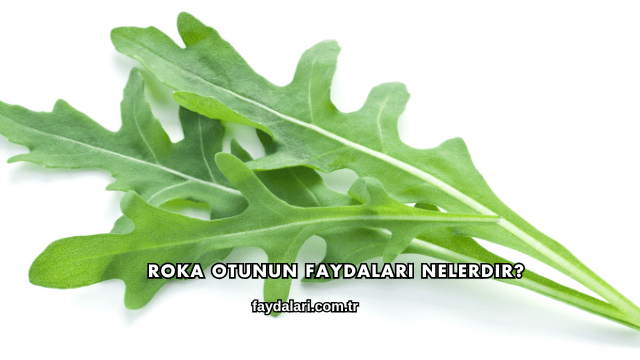 Roka Otunun Faydaları Nelerdir?