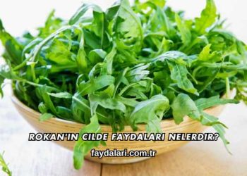 Rokan'ın Cilde Faydaları Nelerdir?