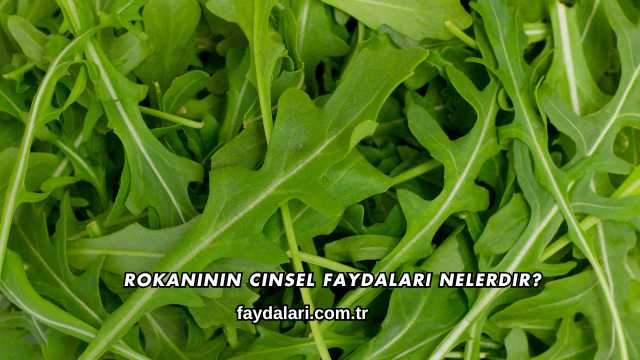 Rokanının Cinsel Faydaları Nelerdir?