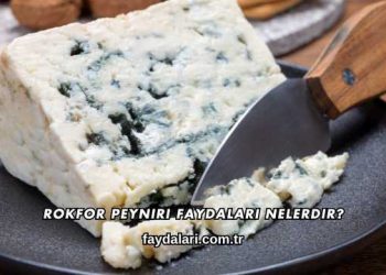Rokfor Peyniri Faydaları Nelerdir?