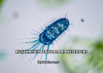 Ruşeyminin Faydaları Nelerdir?