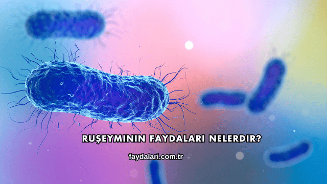 Ruşeyminin Faydaları Nelerdir?