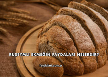 Ruşeymli Ekmeğin Faydaları Nelerdir?