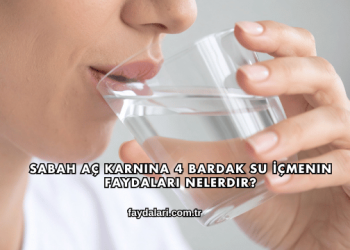 Sabah Aç Karnına 4 Bardak Su İçmenin Faydaları Nelerdir?