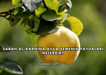 Sabah Aç Karnına Ayva Yemenin Faydaları Nelerdir?