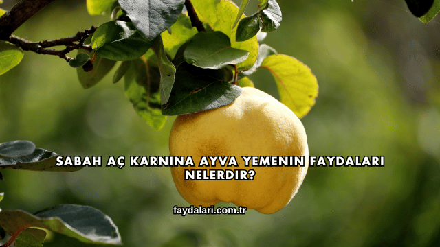 Sabah Aç Karnına Ayva Yemenin Faydaları Nelerdir?