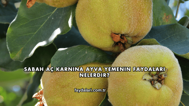 Sabah Aç Karnına Ayva Yemenin Faydaları Nelerdir?