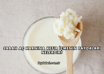 Sabah Aç Karnına Kefir İçmenin Faydaları Nelerdir?