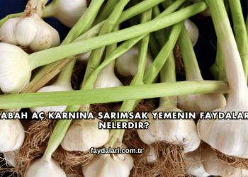Sabah Aç Karnına Sarımsak Yemenin Faydaları Nelerdir?