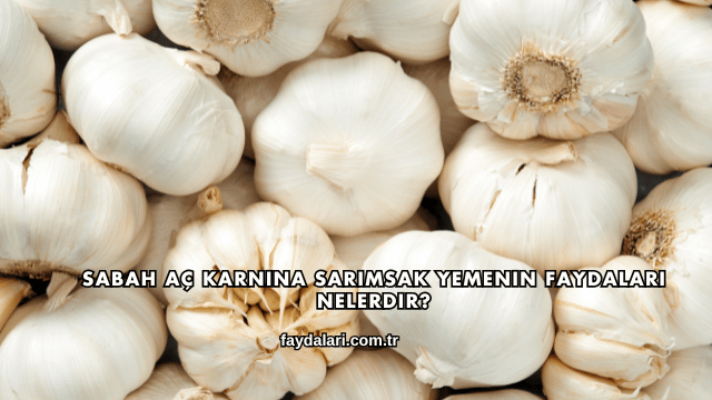 Sabah Aç Karnına Sarımsak Yemenin Faydaları Nelerdir?