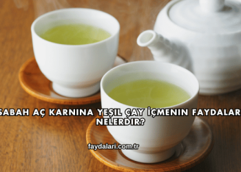 Sabah Aç Karnına Yeşil Çay İçmenin Faydaları Nelerdir?