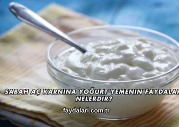Sabah Aç Karnına Yoğurt Yemenin Faydaları Nelerdir?
