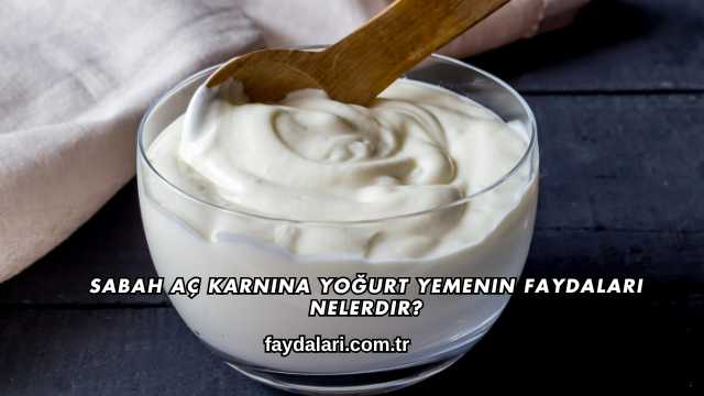 Sabah Aç Karnına Yoğurt Yemenin Faydaları Nelerdir?