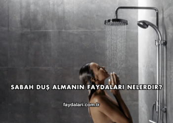 Sabah Duş Almanın Faydaları Nelerdir?