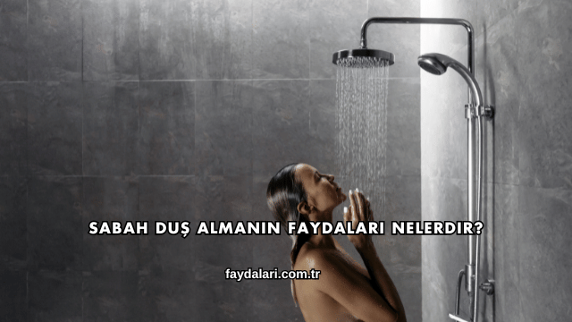 Sabah Duş Almanın Faydaları Nelerdir?