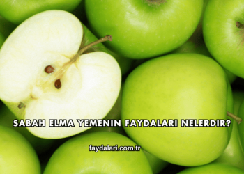 Sabah Elma Yemenin Faydaları Nelerdir?