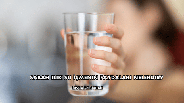 Sabah Ilık Su İçmenin Faydaları Nelerdir