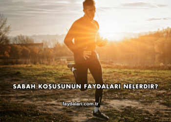 Sabah Koşusunun Faydaları Nelerdir?
