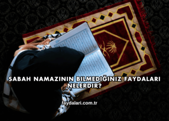 Sabah Namazının Bilmediğiniz Faydaları Nelerdir?