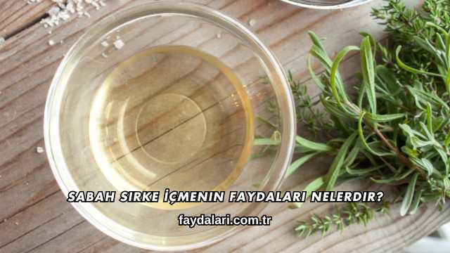 Sabah Sirke İçmenin Faydaları Nelerdir?